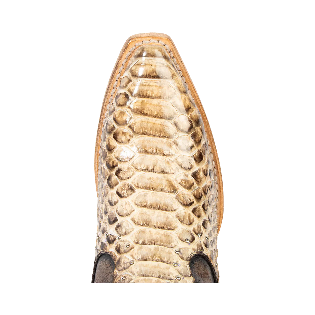 Morgan - Black/White Python - Image 8