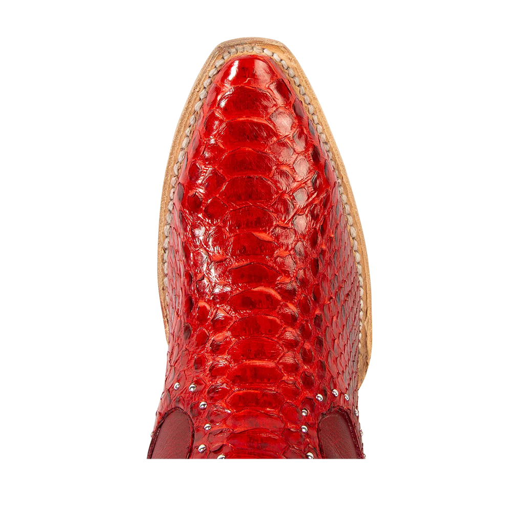Morgan - Red Python - Image 7