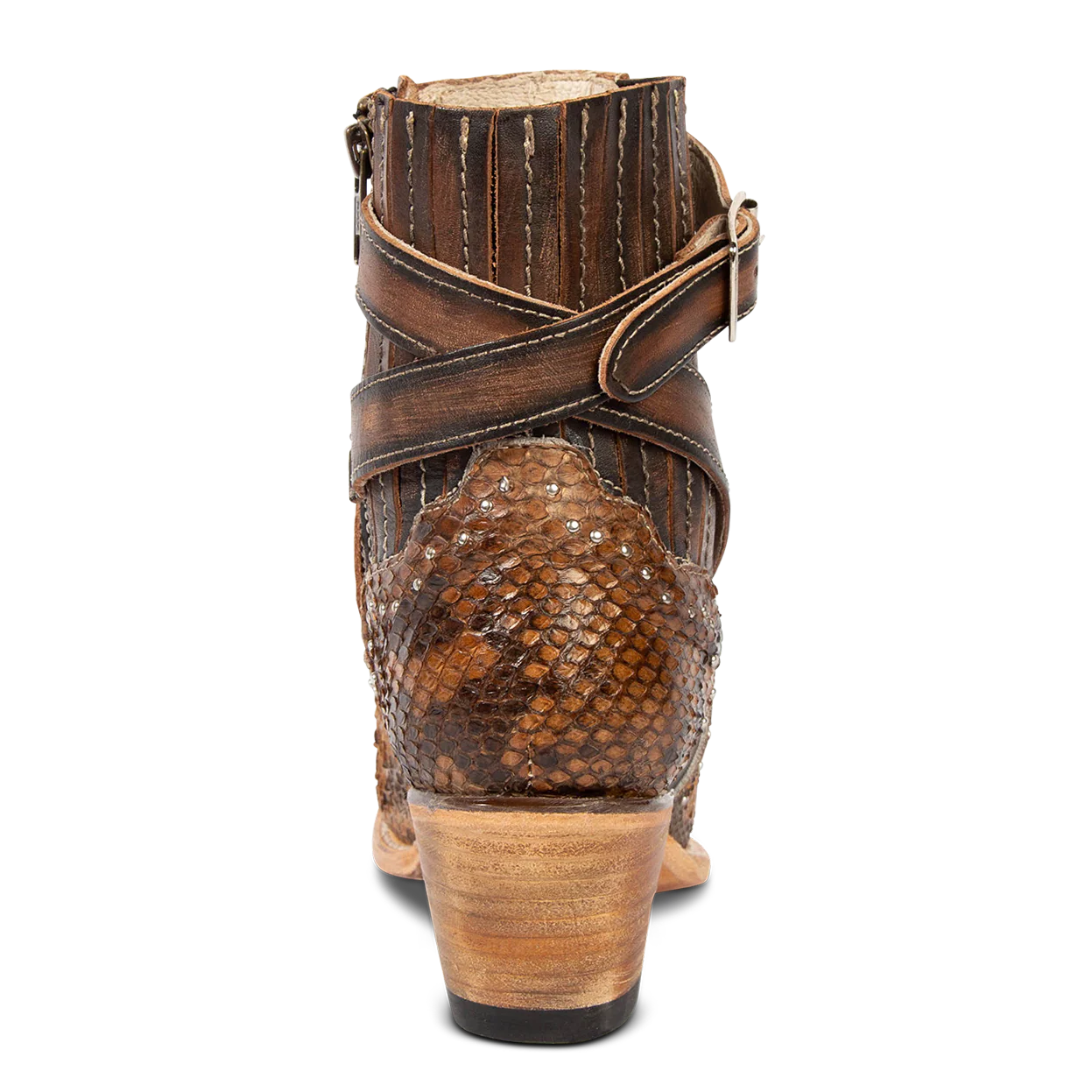 Morgan - Tan Python - Image 6