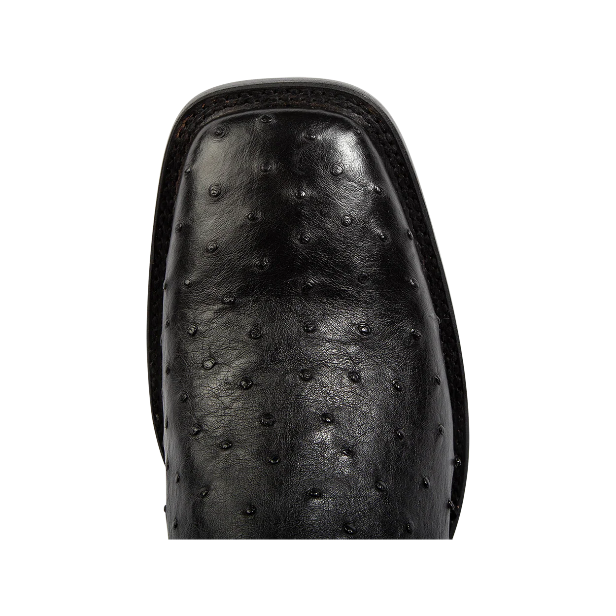 Union - Black Ostrich - Image 7
